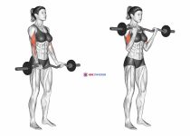 EZ Barbell Curl (female)