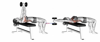 Dumbbell Straight Arm Pullover (female)