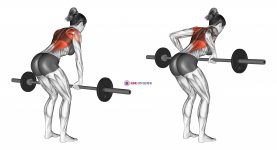 Barbell Bent Over Row (female)
