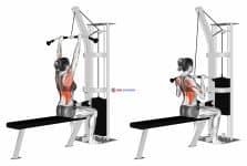 Cable Pulldown (female)