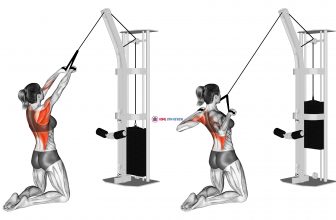 Cable High Row (kneeling rope attachment) (female)