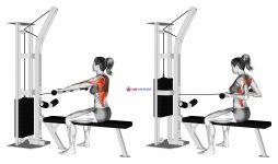 Cable Seated Row (female)