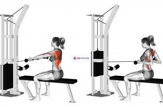 Cable Seated Row (female)