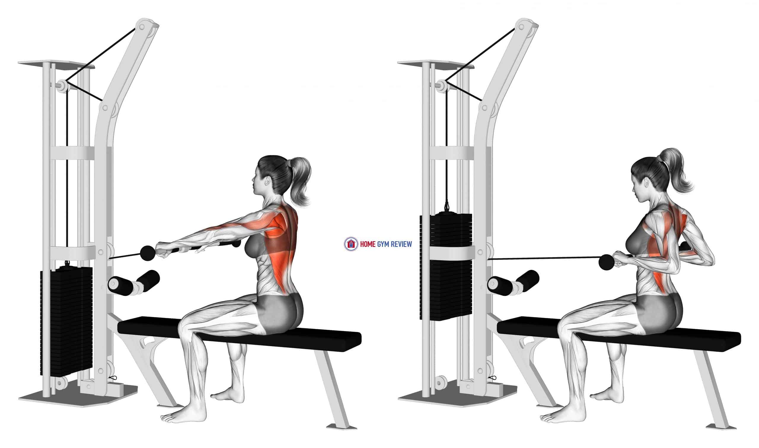 Seated Row Benefits And Technique Seated Row Benefits And Technique