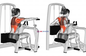 Lever Seated Row (female)