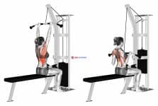 Cable Bar Lateral Pulldown (female)