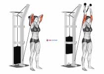 Cable Overhead Triceps Extension (rope attachment) (female)