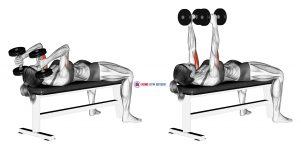 Dumbbell Lying Triceps Extension (female)