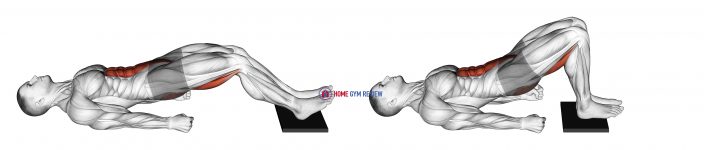 Sliding Floor Bridge Curl on Towel