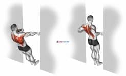 Bodyweight Row in Doorway