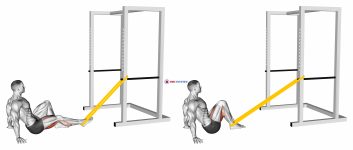 Resistance Band Seated Single Leg Curl