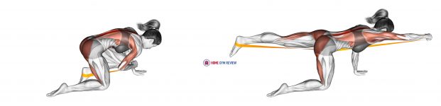 Resistance Band Bird Dog