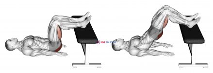 Glute Bridge Two Legs on Bench (male)