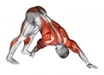 Downward Facing Dog Toe Touch