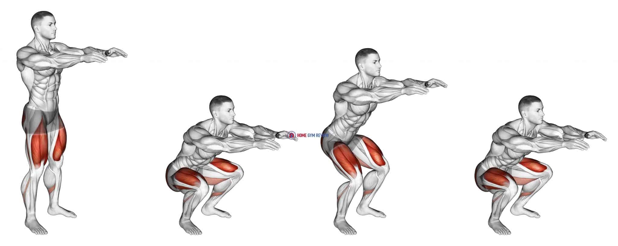 Bodyweight Pulse Squat Home Gym Review Bodyweight Pulse Squat Home Gym Review