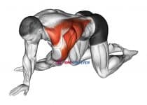 Kneeling T-Spine Mobility Stretching