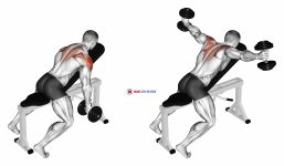 Dumbbell Incline T-Raise
