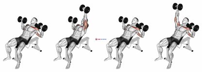 Dumbbell Incline Alternate Press