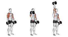 Dumbbell Standing Alternate Hammer Curl and Press