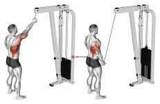 Cable One Arm Pulldown