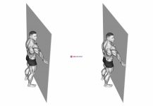 Roll Ball Pectorial Release