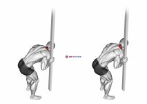 Roll Ball Upper Trapezius Release