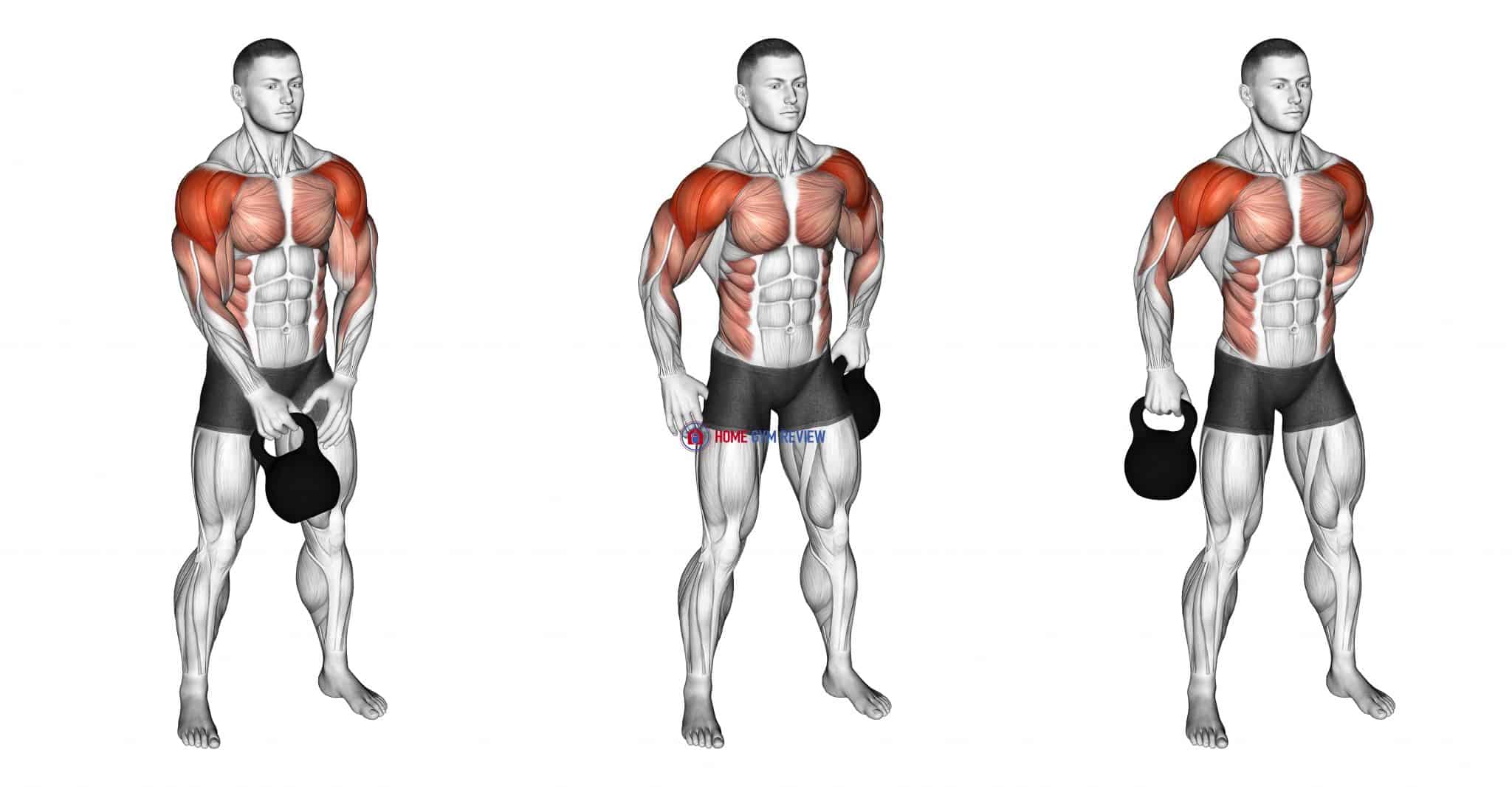 Kettlebell Slingshot Home Gym Review