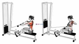 Cable Seated Wide grip Row (female)