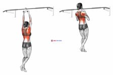 Chin ups (narrow parallel grip) (female)