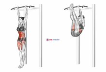 Hanging Straight Leg Hip Raise (female)