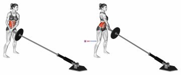 Landmine 180 (female)