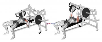 Lever Lying Chest Press (plate loaded) (female)