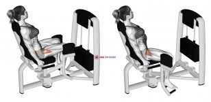 Lever Seated Hip Abduction (female)