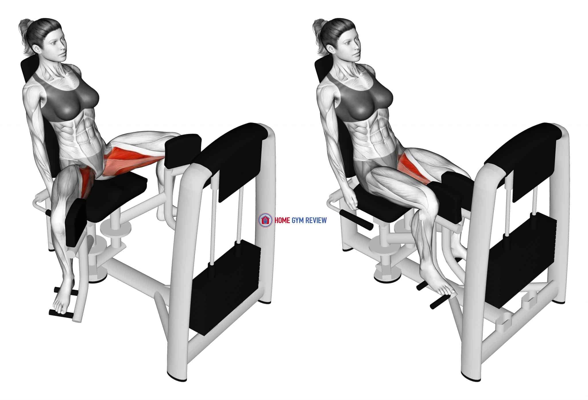 Lever Seated Hip Adduction (female) Home Gym Review