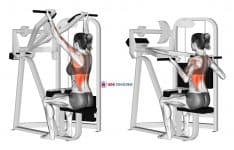 Reverse Grip Machine Lat Pulldown (female)