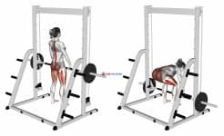 Smith Deadlift (female)