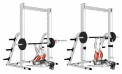Smith Leg Press (female)