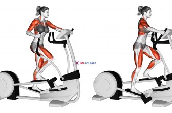 Walk Elliptical Cross Trainer (female)