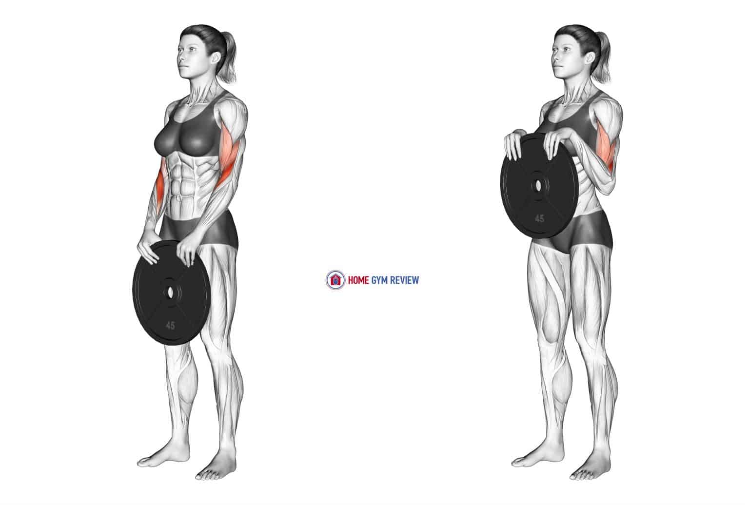 Weighted Standing Curl (female) Home Gym Review