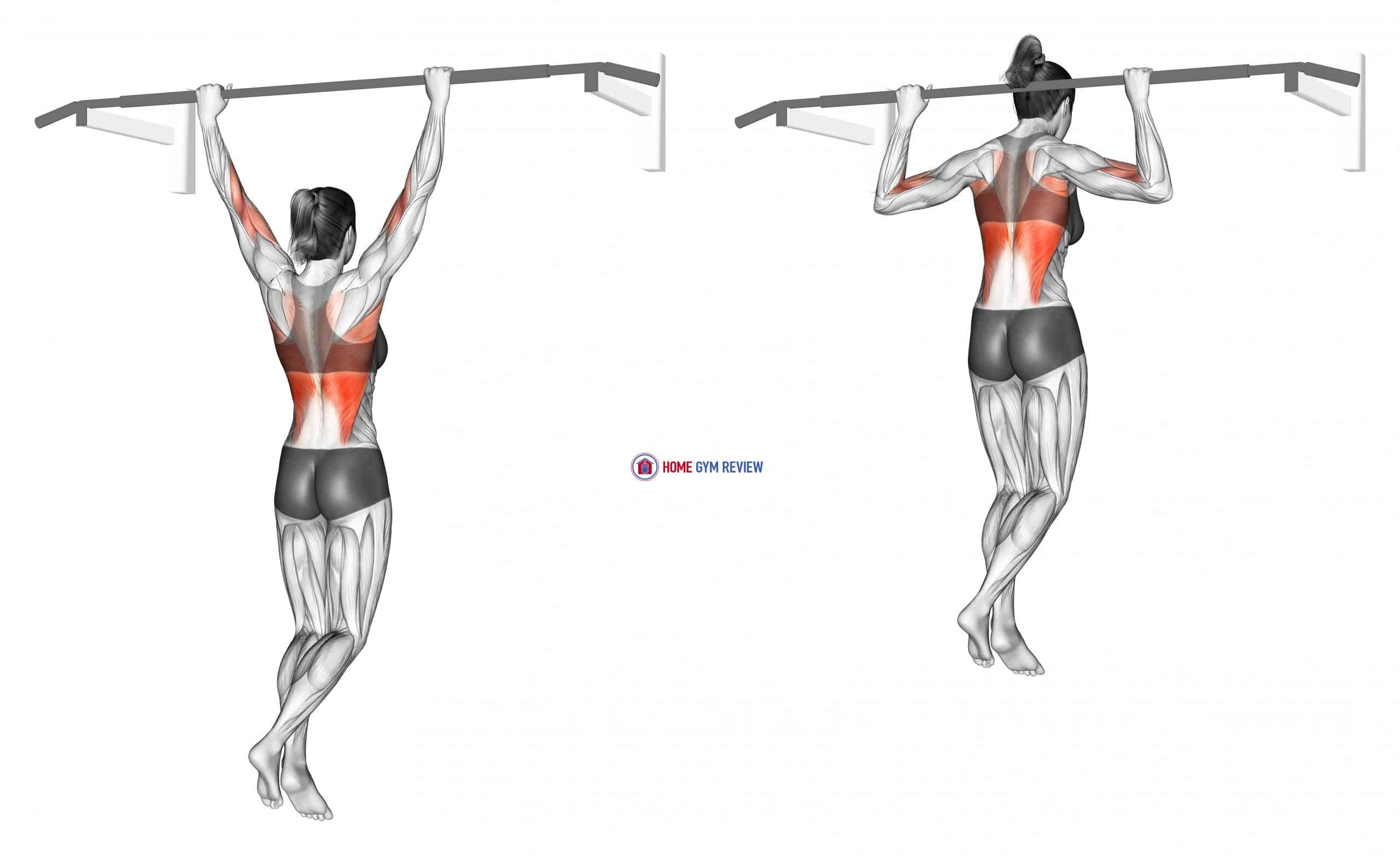 Wide Grip Rear Pull Up (female)