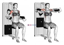 Lever Lateral Raise (female)