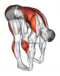 Standing Hamstrings and Back Stretch
