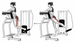 Lever Standing Hip Extension (female)