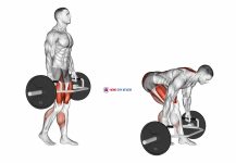 Trap Bar Split Stance RDL