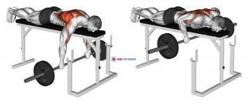 Barbell Lying Row on Rack