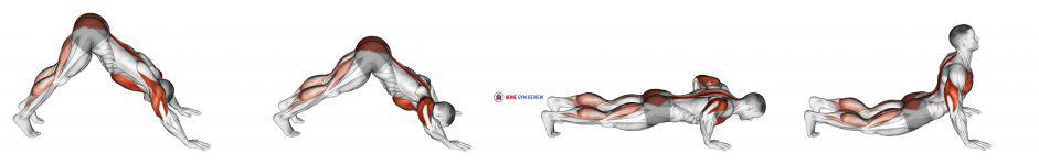 Pike-to-Cobra Push-up