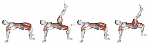 Reverse Plank with Leg Lift
