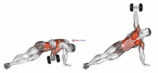 Dumbbell Side Plank with Rear Fly