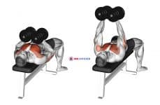 Dumbbell Squeeze Bench Press