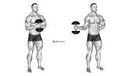 Dumbbell External Rotation
